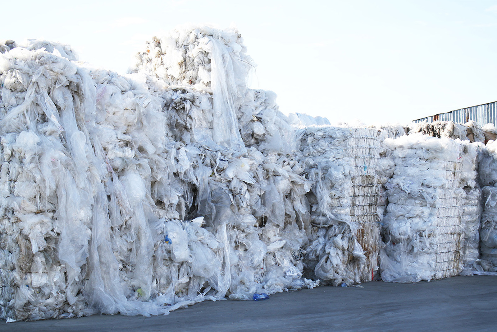 //www.reciclamplastic.ro/wp-content/uploads/2023/04/www.reciclamplastic.ro-PLASTIC-RECYCLING-EXPORT-Reciclam-Plastic.jpg
